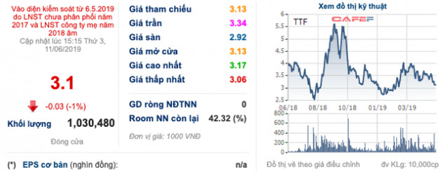 Gỗ Trường Thành (TTF) bầu ông Mai Hữu Tín vào vị trí chủ tịch HĐQT - Ảnh 1.