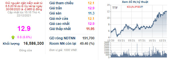 Gỗ Trường Thành (TTF) đã sạch nợ tại các ngân hàng - Ảnh 2.