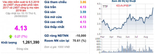 Gỗ Trường Thành (TTF): Lãi ròng tăng gấp đôi sau soát xét lên 53 tỷ đồng, kiểm toán vẫn nhấn mạnh nghi ngờ khả năng hoạt động liên tục - Ảnh 2.