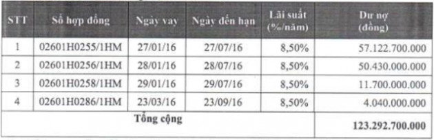 Gỗ Trường Thành (TTF): Lỗ luỹ kế chiếm hơn 97% vốn điều lệ, trình phương án phát hành 58 triệu cổ phần hoán đổi nợ quá hạn tại DongABank với giá 2.128 đồng/cp - Ảnh 1.