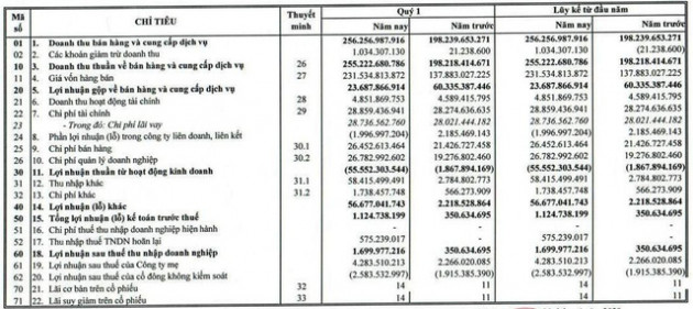 Gỗ Trường Thành (TTF): Quý 1 thoát lỗ nhờ khoản tiền bồi thường từ cổ đông - Ảnh 1.