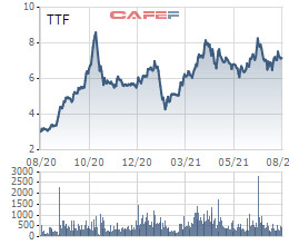 Gỗ Trường Thành (TTF): Quý 2 có lãi ròng trở lại với 43 tỷ đồng, vẫn còn lỗ lũy kế hơn 3.040 tỷ đồng - Ảnh 4.