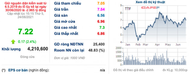 Gỗ Trường Thành (TTF): Thị giá 7.220 đồng/cp nhưng phát hành với giá 10.000 đồng/cp, đã có 19 nhà đầu tư tham gia đợt chào bán 595 tỷ đồng - Ảnh 3.