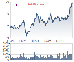 Gỗ Trường Thành (TTF): Tiếp tục có lãi mỏng trong quý 3/2021 với hơn 1 tỷ đồng, đang lỗ luỹ kế hơn 3.000 tỷ đồng - Ảnh 2.