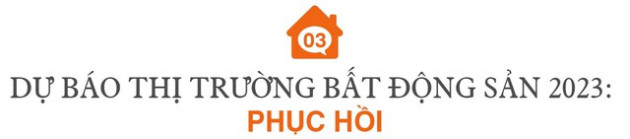 Góc nhìn chuyên gia: Một năm “bất động”, “ bất ổn” của thị trường bất động sản - Ảnh 6.