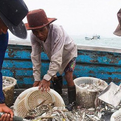 Góc tối sau ngành công nghiệp hái ra tiền của Thái Lan: Lao động nhập cư bị tước hộ chiếu, làm việc 20 tiếng/ngày, cuộc sống như "địa ngục" giữa biển khơi