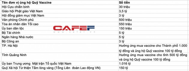 Golf Long Thành, Vingroup, Viettel, PVN, EVN, SCIC...hàng chục doanh nghiệp, ngân hàng, tổ chức, cá nhân đã ủng hộ hơn 6.600 tỷ ngay tại Lễ ra mắt Quỹ vaccine chống Covid-19 - Ảnh 4.