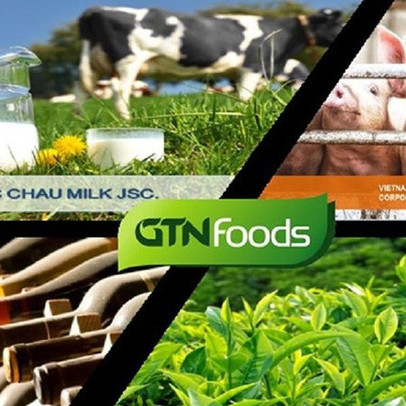 GTNfoods (GTN): LNST quý 1 đạt 40 tỷ đồng cao gấp 2,3 lần cùng kỳ