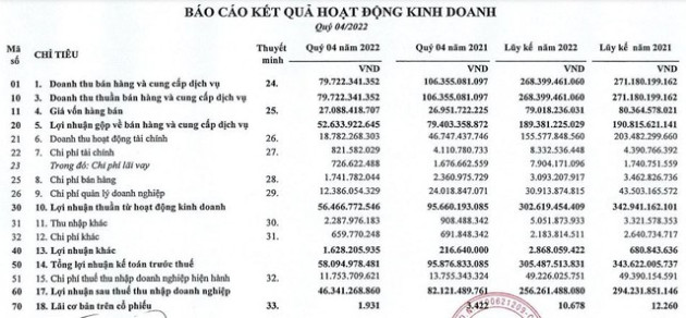 Gửi ngân hàng hơn nghìn tỷ, KCN Nam Tân Uyên (NTC) báo lãi quý 4/2022 giảm gần 44% - Ảnh 1.