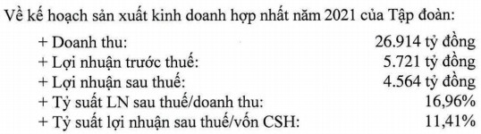 GVR: Mảng khu công nghiệp sẽ đem về lợi nhuận chính, kế hoạch lợi nhuận năm 2021 vào mức 4.564 tỷ đồng - Ảnh 2.