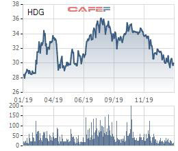 Hà Đô (HDG) báo lãi 1.026 tỷ đồng năm 2019, cao nhất kể từ khi thành lập đến nay - Ảnh 3.