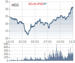 Hà Đô (HDG): Nhóm Dragon Capital tăng lại sở hữu lên hơn 5% vốn - Ảnh 2.