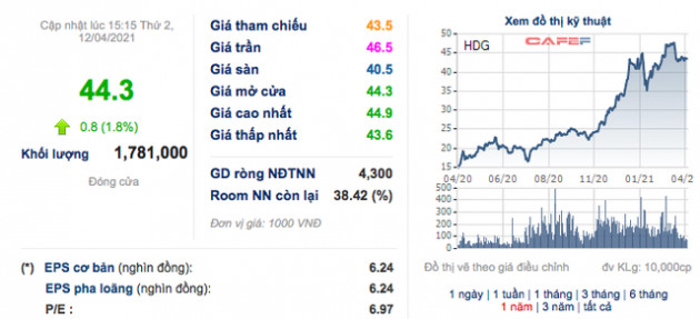 Hà Đô (HDG) tái cấu trúc mảng năng lượng, đặt kế hoạch đi ngang trong năm 2021 - Ảnh 4.