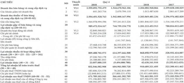 Hà Đô lãi sau thuế 752 tỷ đồng trong năm 2018, hoàn thành vượt kế hoạch đề ra - Ảnh 1.