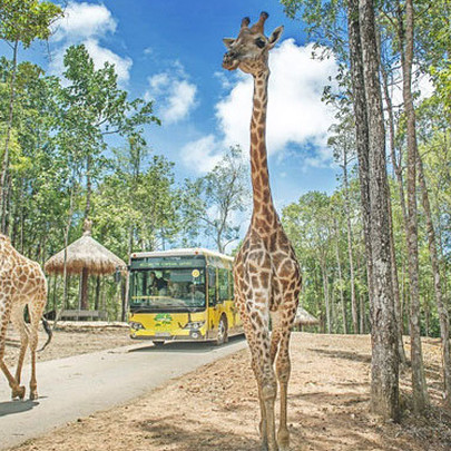 Hà Nội chuẩn bị có Vinpearl Land rộng 80ha tại Gia Lâm kết hợp Safari dưới nước và trên cạn