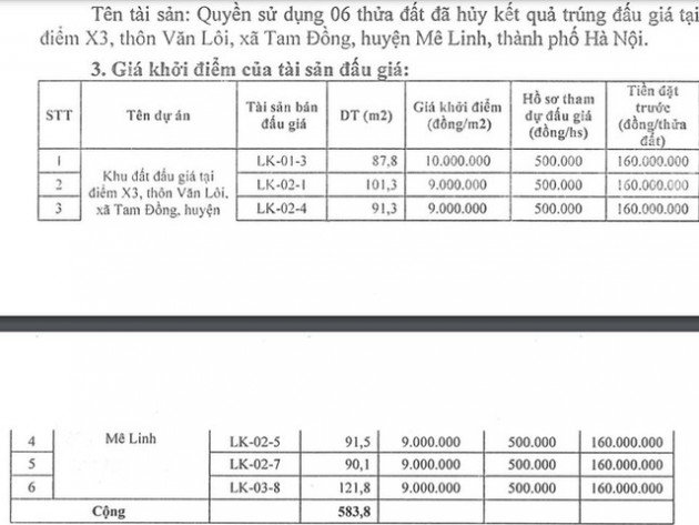 Hà Nội đấu giá lại loạt đất liền kề bị hủy kết quả, giá khởi điểm 9 triệu/m2 - Ảnh 1.