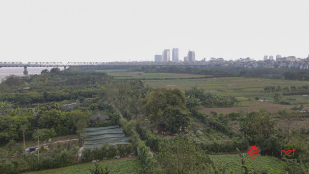 Hà Nội: Toàn cảnh bãi giữa sông Hồng nên thơ được đề xuất cải tạo thành công viên văn hóa