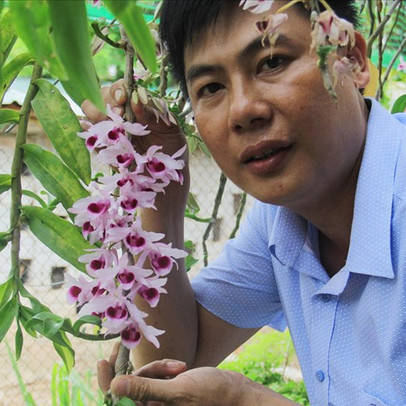 Hà Tĩnh: Thầy giáo dạy sinh học trường làng sở hữu vườn lan tiền tỷ