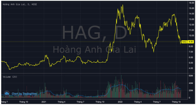 HAG ngược dòng tăng 4%, con gái bầu Đức hoàn tất mua vào 1 triệu cổ phiếu - Ảnh 1.