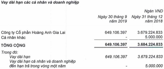 HAGL Agico (HNG) lỗ thêm 980 tỷ trong quý 3 do sự cố ngập lụt, chuyển đổi vườn cây… nâng lỗ luỹ kế lên 1.622 tỷ đồng - Ảnh 3.