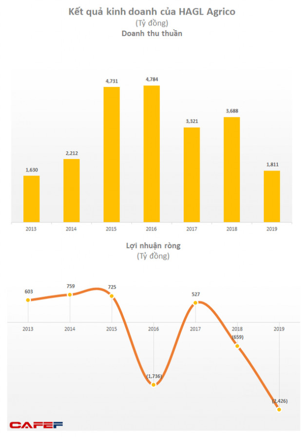 HAGL Agrico (HNG): 68 nhà đầu tư cá nhân mua vào 200 tỷ trái phiếu, lãi suất 9,5%/năm đảm bảo bằng vườn cây ăn quả - Ảnh 1.