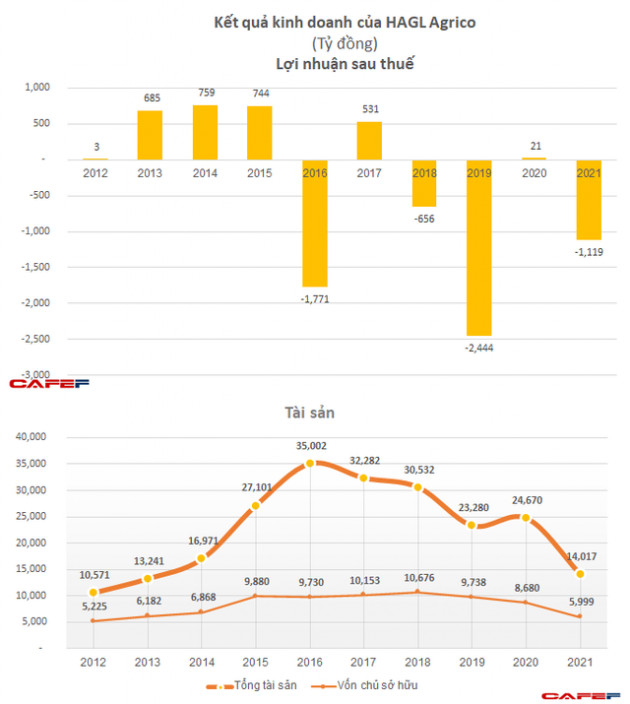 HAGL Agrico (HNG) bỏ ngỏ kế hoạch kinh doanh, dự kiến không trả cổ tức năm 2022 - Ảnh 1.