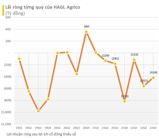 HAGL Agrico (HNG) công bố lộ trình khắc phục chứng khoán bị cảnh báo, chuyển hạch toán công ty con sang tiền Lào - Ảnh 2.