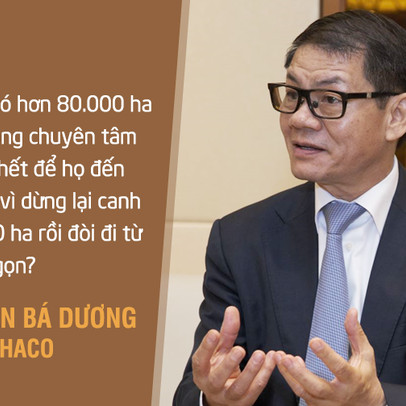 HAGL Agrico (HNG): Doanh thu giảm phân nửa xuống 260 tỷ sau quý đầu tiên do Thaco "cầm lái", 3 tháng thực hiện 12% chỉ tiêu cả năm 2021