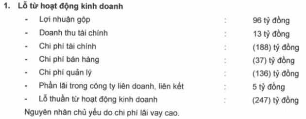 HAGL Agrico (HNG): Doanh thu trái cây giảm, quý 1/2019 lỗ ròng 99 tỷ đồng - Ảnh 1.