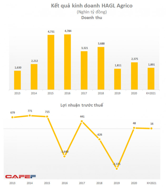 HAGL Agrico (HNG): Lên kế hoạch lãi trước thuế giảm xuống 16 tỷ đồng trong năm đầu Thaco cầm lái, dự trồng mới hơn 1.000 ha chuối - Ảnh 1.