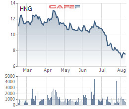 HAGL Agrico (HNG): Nửa đầu năm lỗ ròng 123 tỷ đồng, dư nợ tại Thaco chiếm đến 47% tổng tài sản với 7.359 tỷ đồng - Ảnh 4.