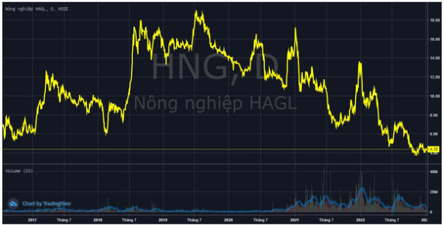 HAGL Agrico (HNG) xin gia hạn thời gian nộp BCTC quý 4/2022 - Ảnh 1.