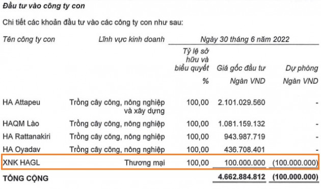 HAGL Agrico sắp giải thể một công ty con do hoạt động không hiệu quả