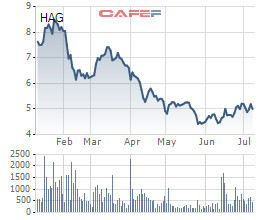 HAGL: Chưa thu xếp được tài chính, bầu Đức chỉ mua thành công 6,6% số cổ phiếu đăng ký - Ảnh 1.