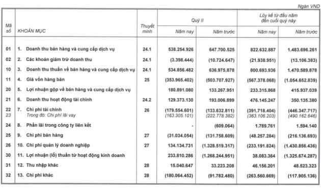 HAGL: Chuyển từ lỗ ngàn tỷ sang có lãi, mảng nuôi heo sau 1 năm đã thu về 94 tỷ lãi gộp trong quý 2 - gấp đôi con số từ cây ăn trái - Ảnh 1.