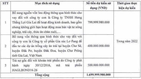 HAGL công bố phương án phát hành 1.700 tỷ mới, dồn tiền cho công ty trồng chuối - Ảnh 1.