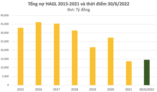 HAGL công bố phương án phát hành 1.700 tỷ mới, dồn tiền cho công ty trồng chuối - Ảnh 4.