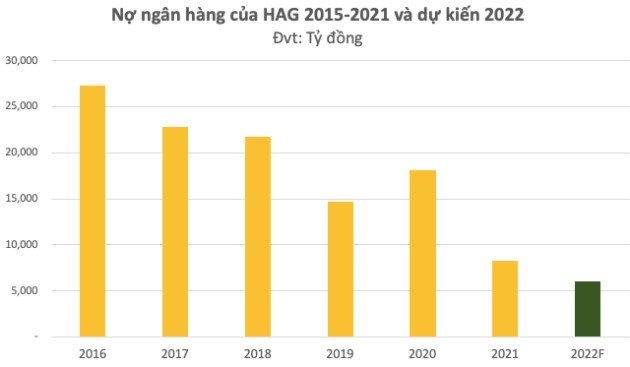 HAGL công bố phương án phát hành 1.700 tỷ mới, dồn tiền cho công ty trồng chuối - Ảnh 5.