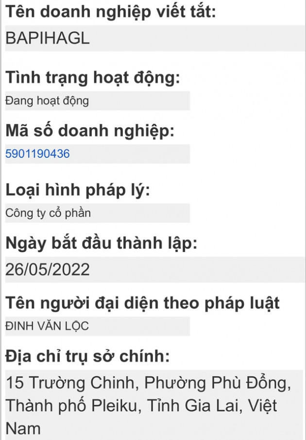 HAGL đã lập công ty riêng cho thương hiệu Heo ăn chuối BAPI: Bầu Đức đang tăng tốc hành trình cung cấp dòng heo sạch với doanh thu mục tiêu 10.000 tỷ - Ảnh 1.