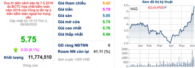 HAGL: Doanh thu mảng cây ăn trái dự tăng 2,7 lần với Trung Quốc là nền tảng xuất khẩu, năm 2020 dự kiến vẫn lỗ 356 tỷ đồng - Ảnh 1.