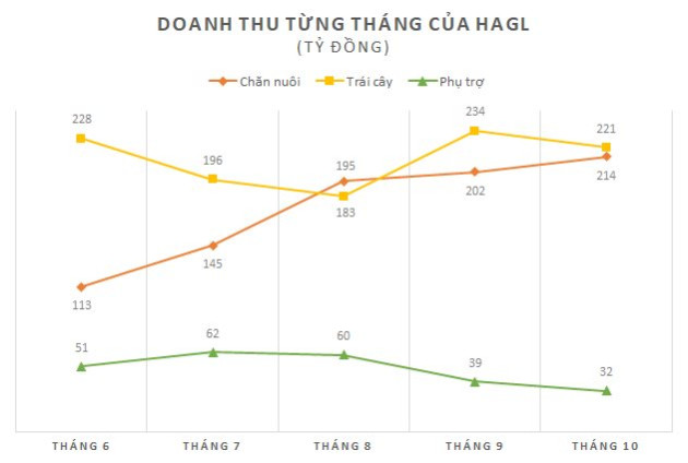 HAGL: Hơn 2/3 sản lượng chuối tháng 10 dùng để nuôi heo, lợi nhuận luỹ kế từ đầu năm vượt 1.000 tỷ - Ảnh 1.