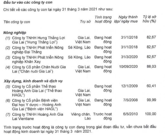 HAGL là công ty gì sau khi bán HNG cho Thaco? - Ảnh 1.