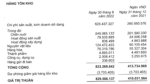 HAGL lãi đột biến 522 tỷ đồng trong 6 tháng, đang cho HAGL Agrico vay nợ 2.000 tỷ đồng - Ảnh 4.