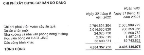 HAGL lãi đột biến 522 tỷ đồng trong 6 tháng, đang cho HAGL Agrico vay nợ 2.000 tỷ đồng - Ảnh 5.