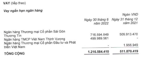 HAGL lãi đột biến 522 tỷ đồng trong 6 tháng, đang cho HAGL Agrico vay nợ 2.000 tỷ đồng - Ảnh 6.