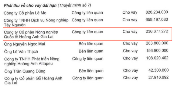 HAGL lãi đột biến 522 tỷ đồng trong 6 tháng, đang cho HAGL Agrico vay nợ 2.000 tỷ đồng - Ảnh 8.