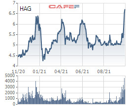HAGL: Thị giá tăng 38% sau 9 phiên, lãnh đạo tiếp tục đăng ký bán gần hết lượng cổ phần còn nắm giữ trước thềm từ nhiệm - Ảnh 1.