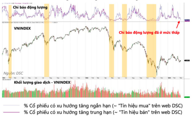 Hai chỉ báo quan trọng nhận diện thời điểm bắt đáy chứng khoán đã đến - Ảnh 1.