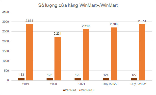 Hai chuỗi bán lẻ thực phẩm lớn nhất Bách Hóa Xanh và WinMart+/WinMart kinh doanh ra sao? - Ảnh 1.