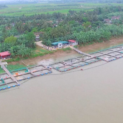 Hải Dương họp bàn cách khai thác "kho báu" 35.000 tấn đang náu dưới sông